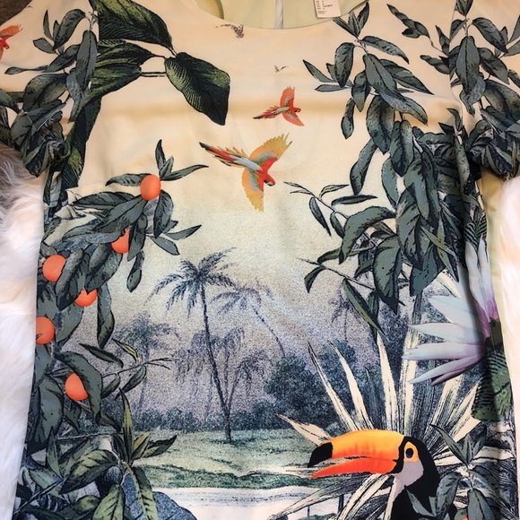 H&M conscious collection tropic toucan shift dress - Picture 4 of 7